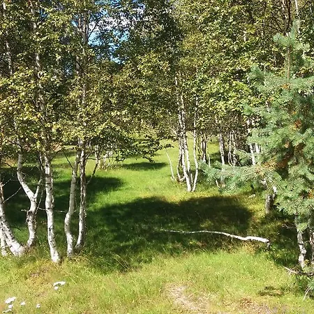 Apartmany U Sakala Zdíkov Exterior foto