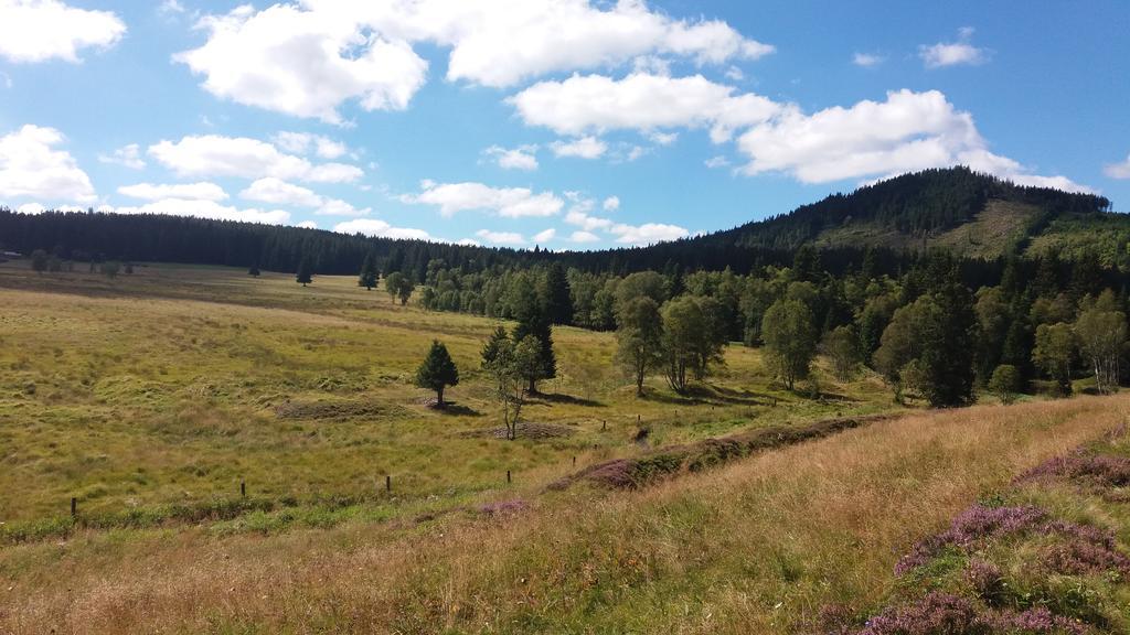 Apartamento U šakala